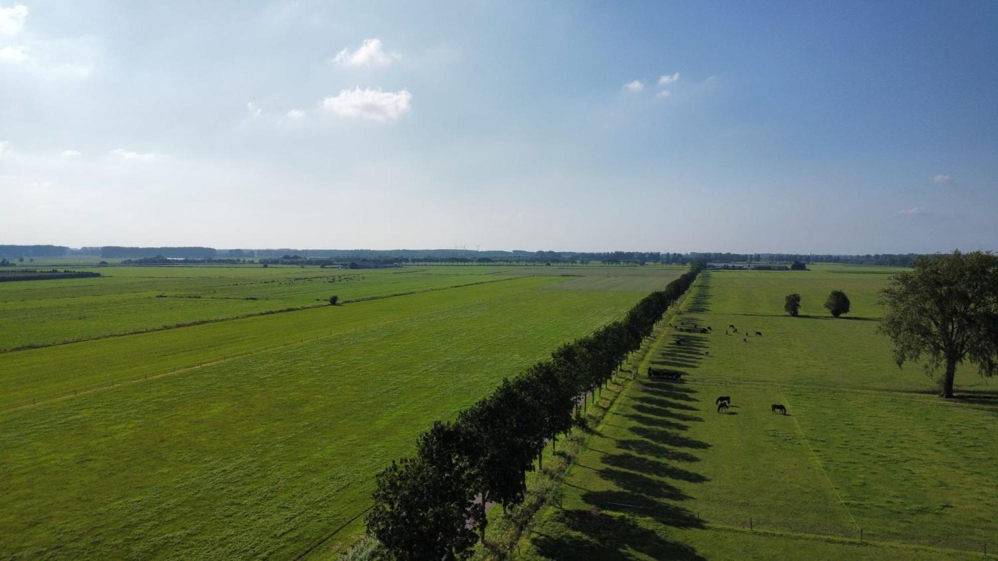 Landelijke Huis In De Betuwe Tricht Dış mekan fotoğraf