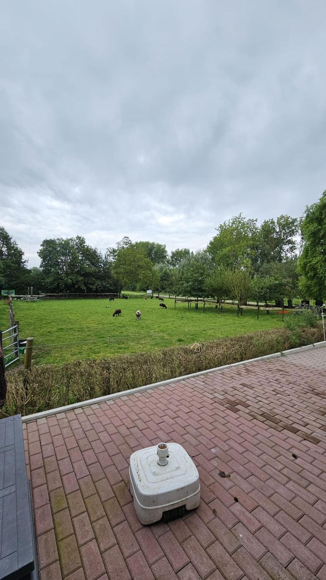 Landelijke Huis In De Betuwe Tricht Dış mekan fotoğraf
